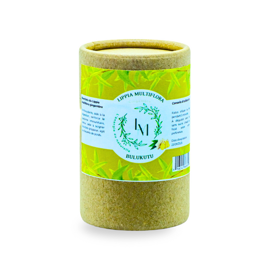 Thé Lippia Multiflora au Gingembre 40g